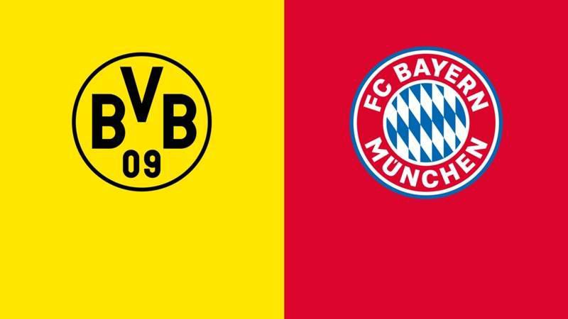 日本阿v精品视频在线观看